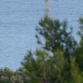 Efectos de filtro UV en diferentes longitudes focales