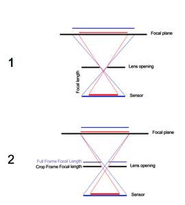 Cropped Vs Full Frame Sensors
