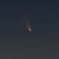 Cometa PanSTARRS